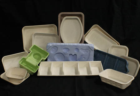 Chamness Biodegradables Environmentally Safe Packaging